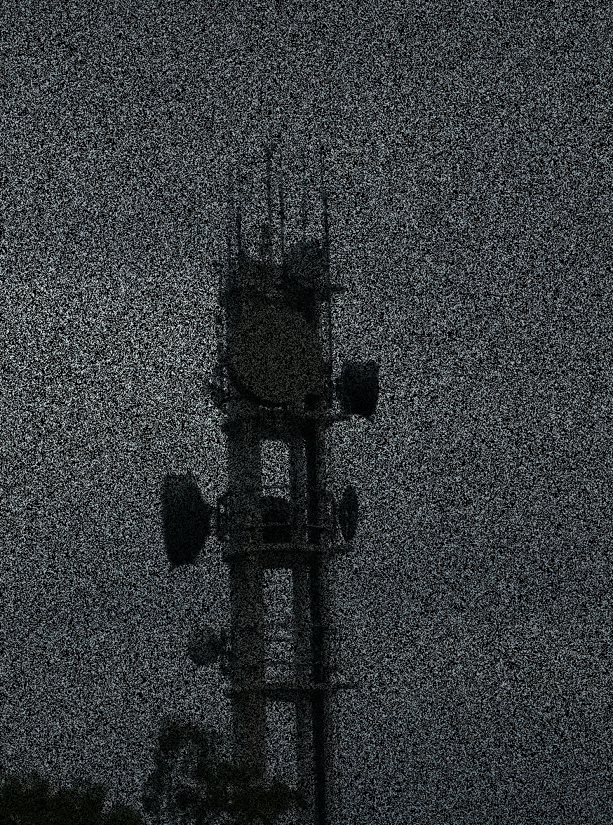 Grain